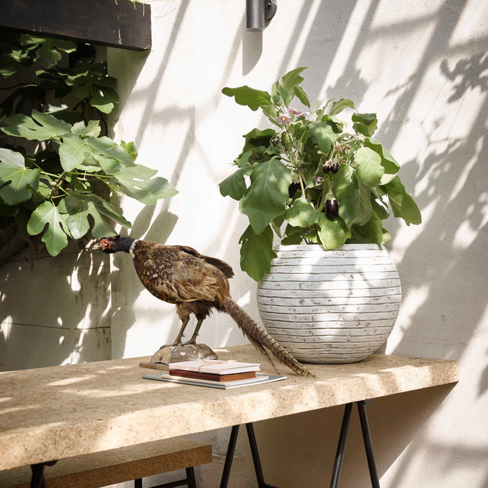 Capi Europe Nature Rib Vaas Rond Bloempot 40 cm