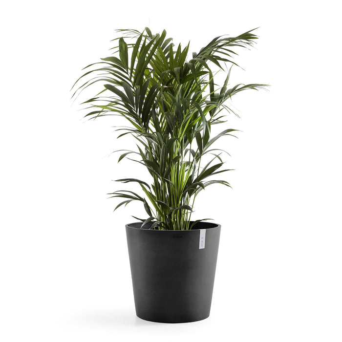 Ecopots Amsterdam 50