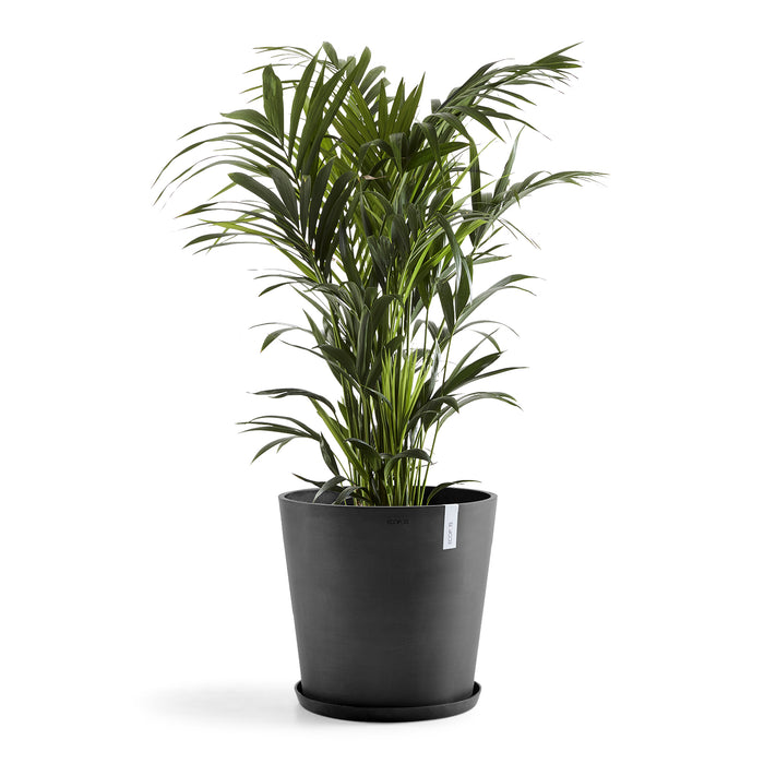 Ecopots Amsterdam 50