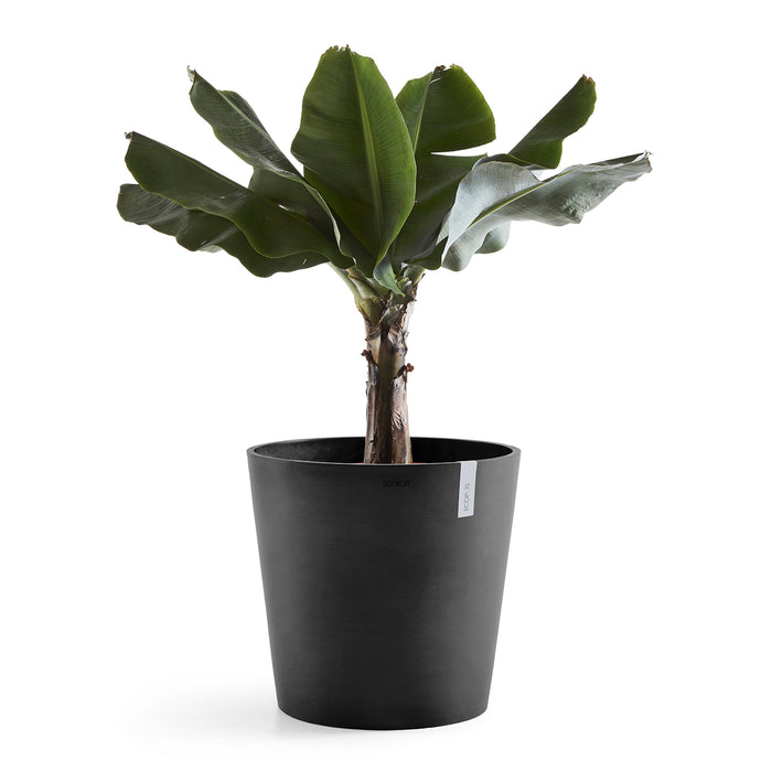 Ecopots Amsterdam 60