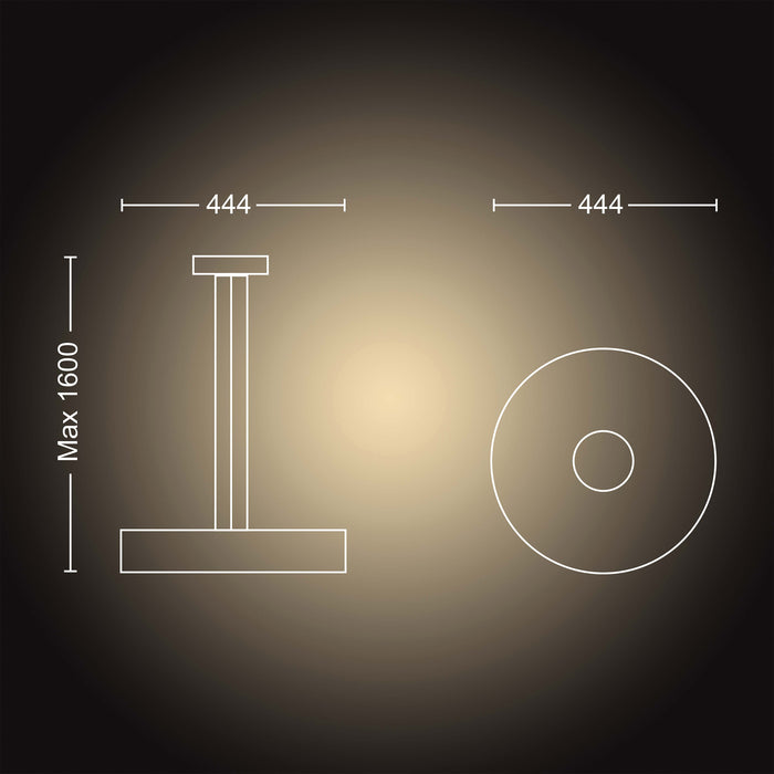 Philips Hue Fair Hanglamp - Zwart