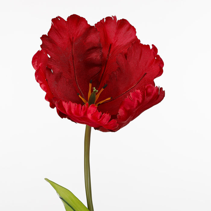 Mica Decorations Papegaai Tulp Kunstbloem - L73 cm - Bordeaux