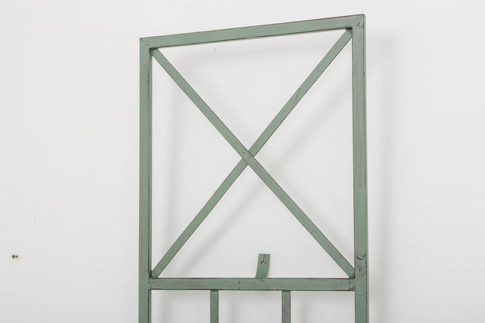 CLP Plantenklimrek Trigo