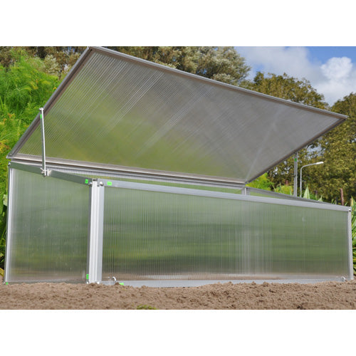 Royal Well Broeikas Viola