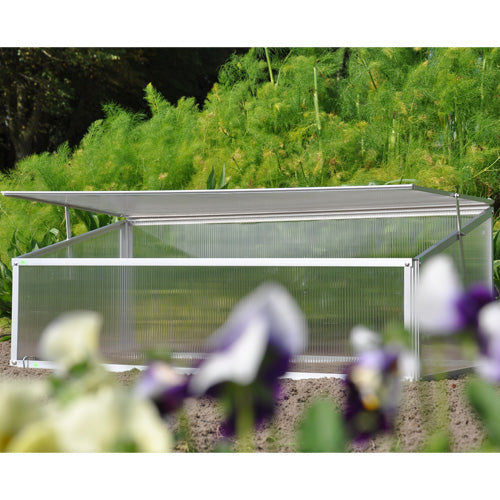 Royal Well Broeikas Viola