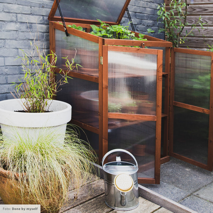 Royal Well Patiokas Rosemary's Choice