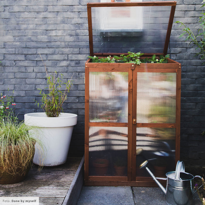 Royal Well Patiokas Rosemary's Choice