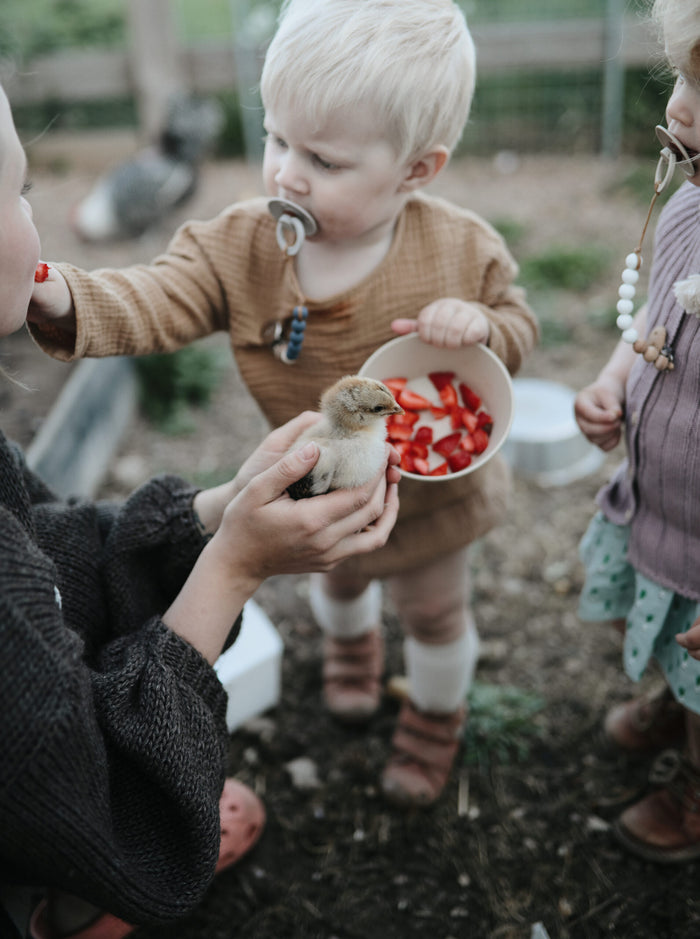 Mushie kommetjes vanille set van 2 (Ø 13 centimeter x 5 centimeter)
