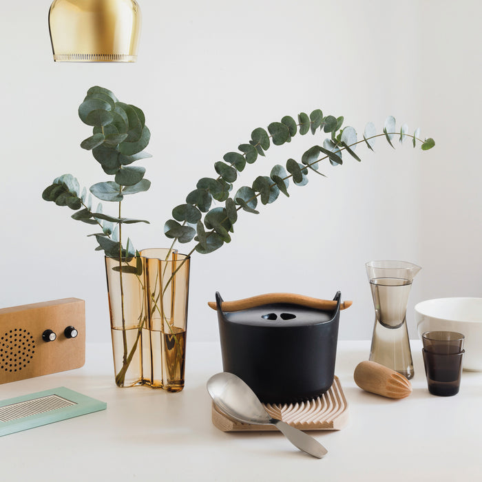 Iittala Collective Tools Dienlepel groot