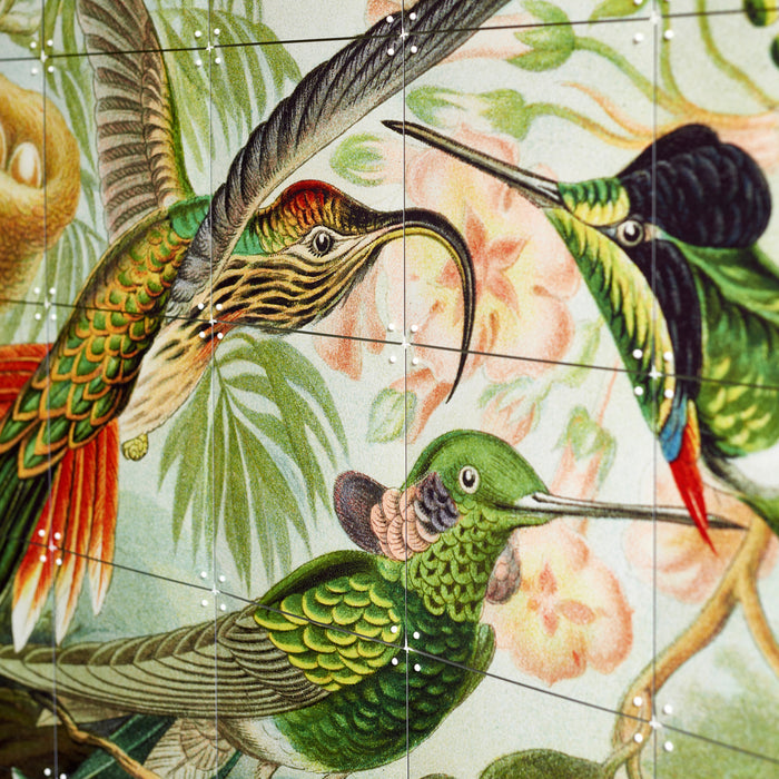 IXXI Hummingbirds Wandsysteem 140 x 100 cm