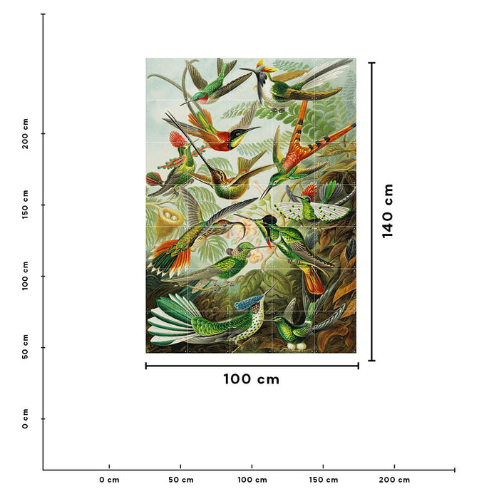IXXI Hummingbirds Wandsysteem 140 x 100 cm