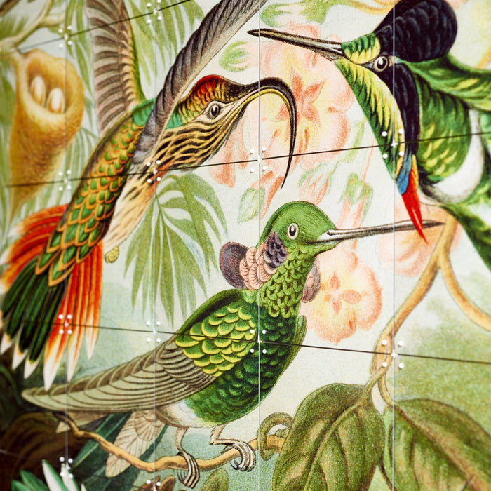 IXXI Hummingbirds Wandsysteem 140 x 100 cm