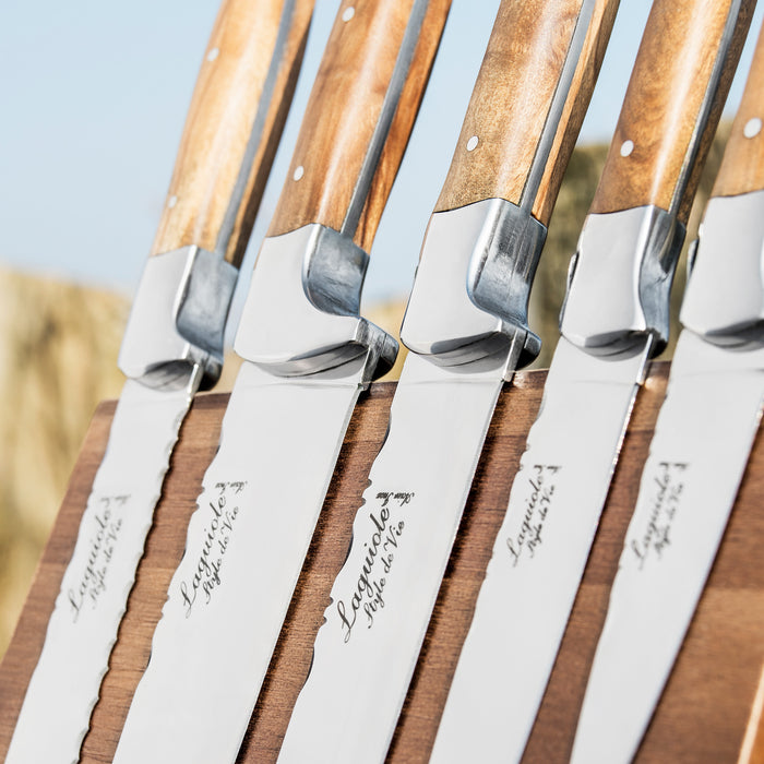 Laguiole Style de Vie Messenset 5-delig met Magnetisch Messenblok