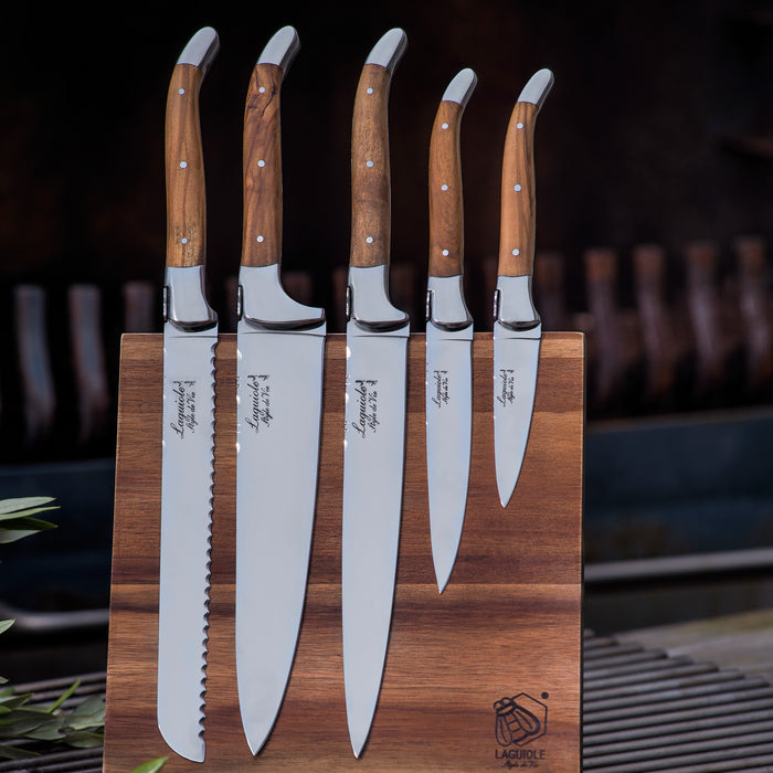 Laguiole Style de Vie Messenset 5-delig met Magnetisch Messenblok