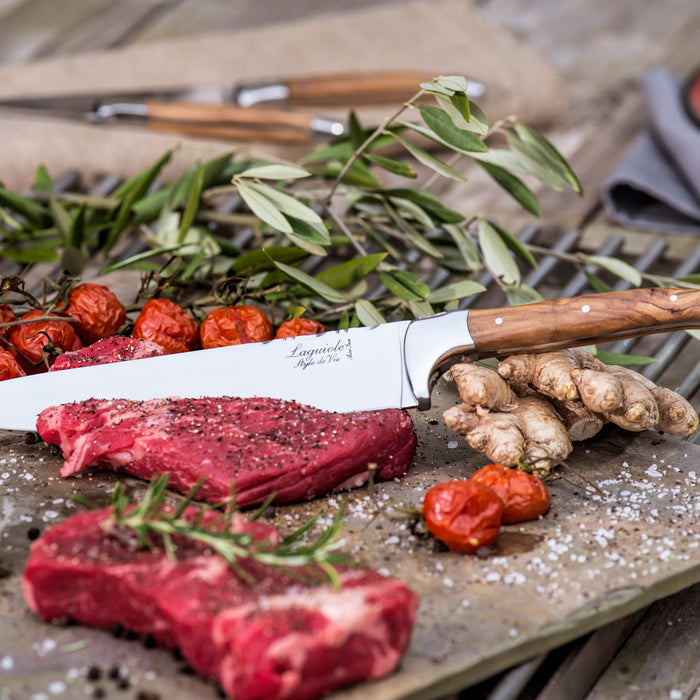 Laguiole Style de Vie Messenset 5-delig met Magnetisch Messenblok