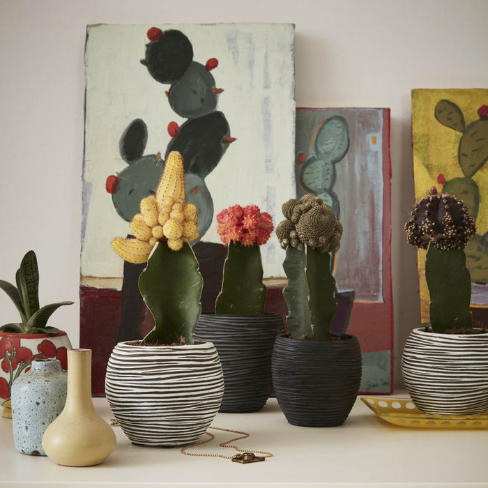 224557-x1.jpg (2796040)