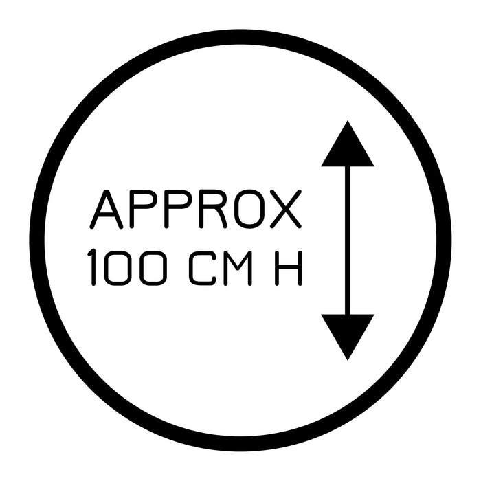 BBGrill Orion Classic Vuurschaal - Zwart