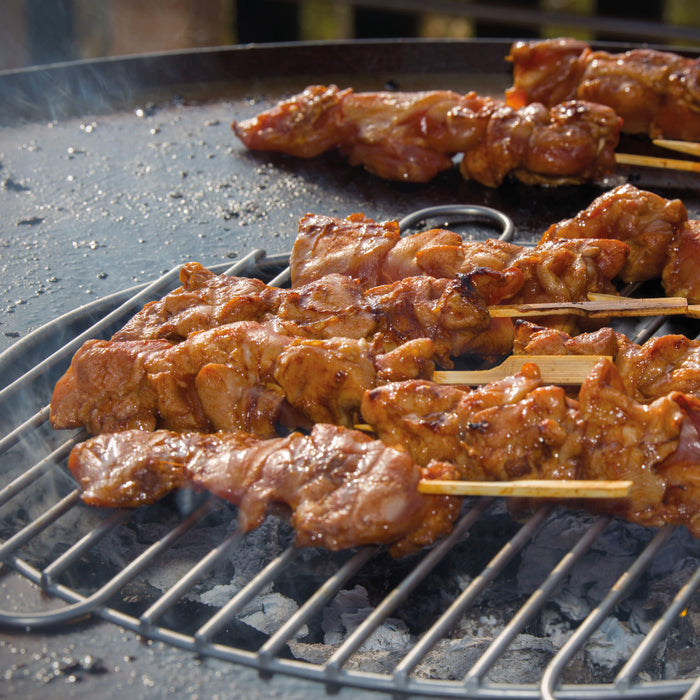 BBGrill Orion Classic Vuurschaal - Zwart