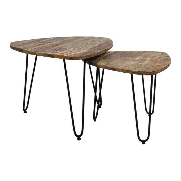 HSM Collection Dexter Salontafel Set van 2
