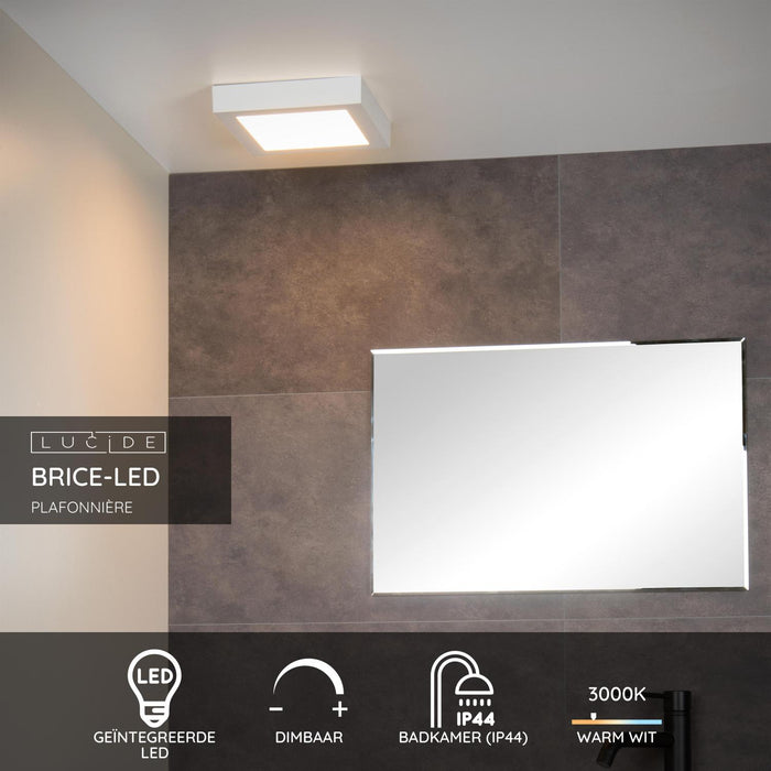 fd275392-1ca4-48c7-8cc2-382445fe08a0-sfeerbeeld.jpg (2842040)