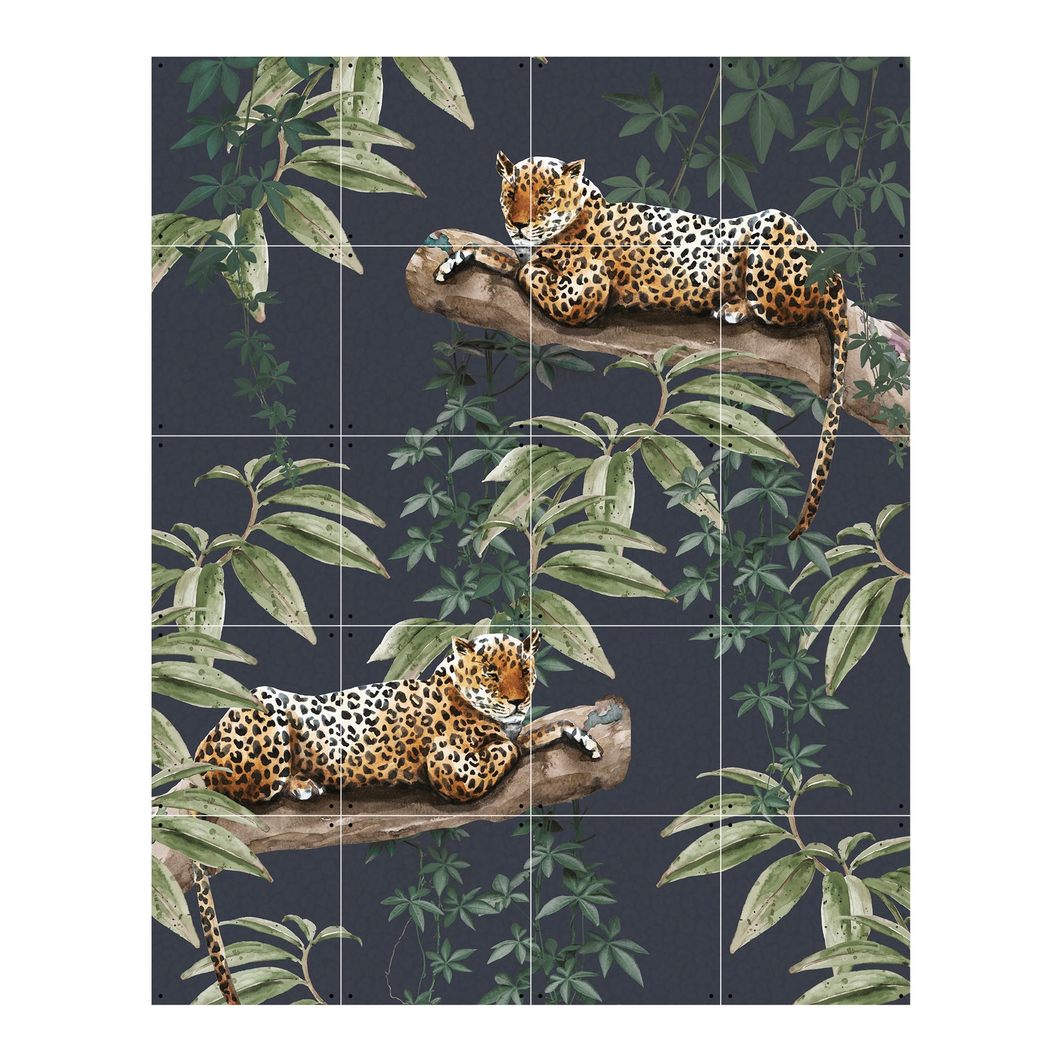 248579-x0.jpg (2863072)