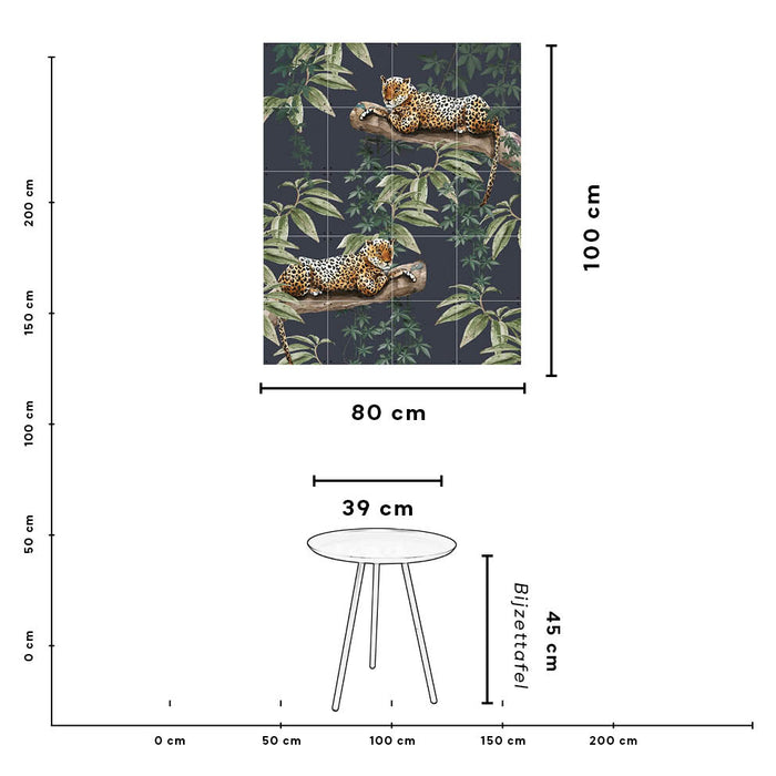 248579-x20.jpg (2863075)