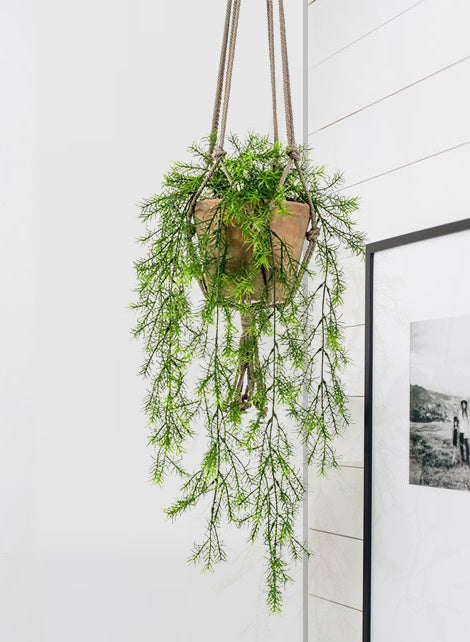 e087e562-0e8d-4a33-b6b4-84ad70064fb4-afbeelding3.jpg (2886160)