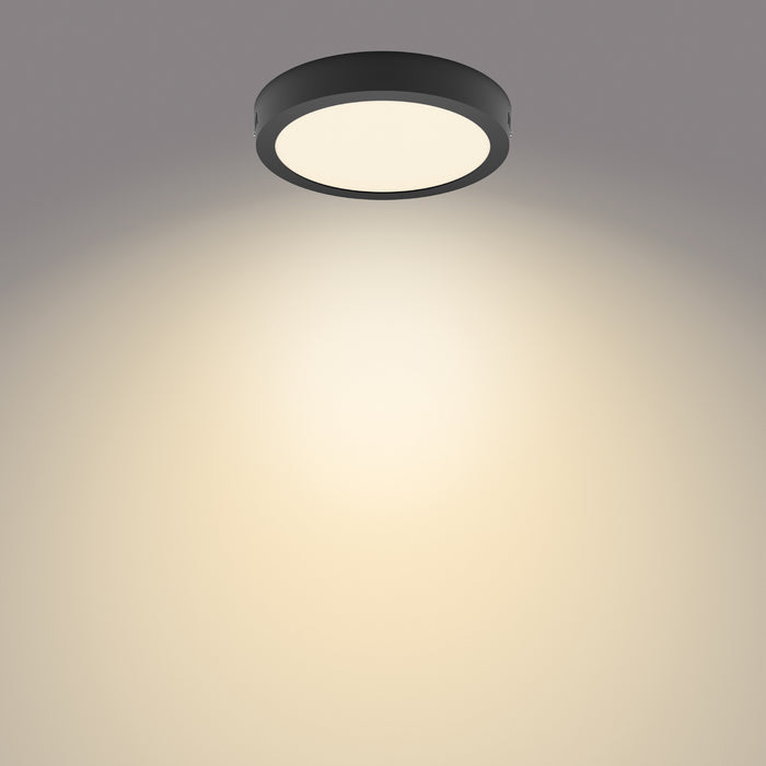 75ea77b3-cbbd-4726-9e1d-bc0c66061755-afbeelding6.jpg (2896047)