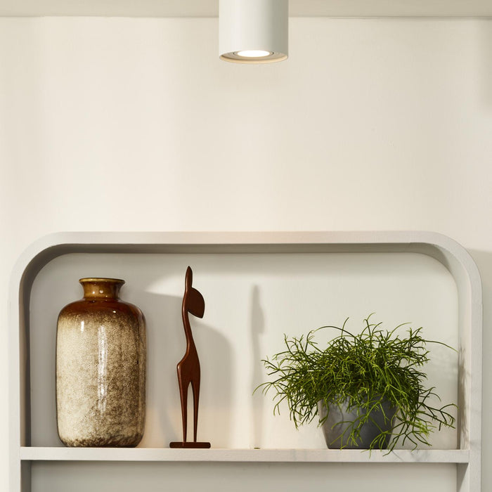 366d6a4b-721e-43e8-860f-2ff3bee2e0df-afbeelding4.jpg (2960524)