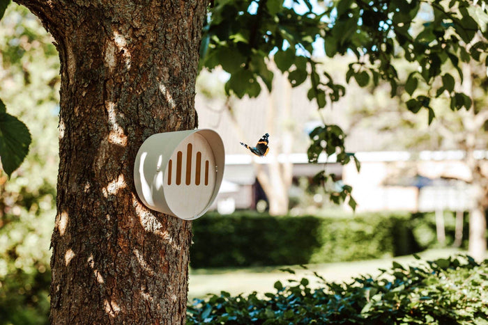 Capi Europe Vlinderhuis Bruin