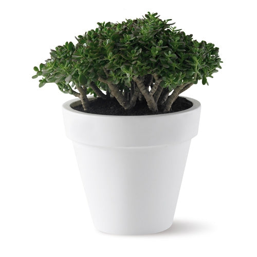 elho Pure Round Bloempot Ø 100 cm - Wit