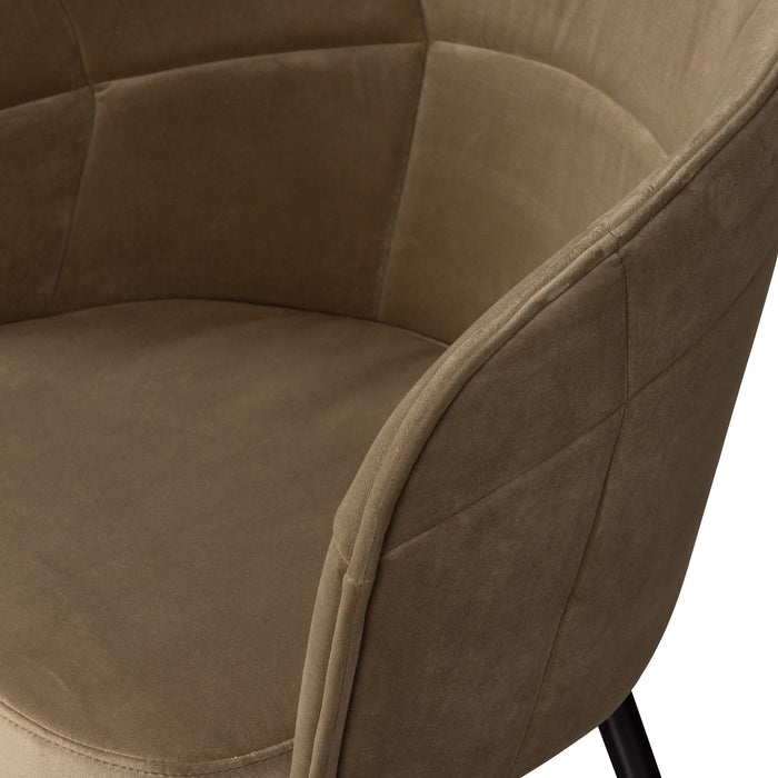 2_446634-x05.jpg (3020671)