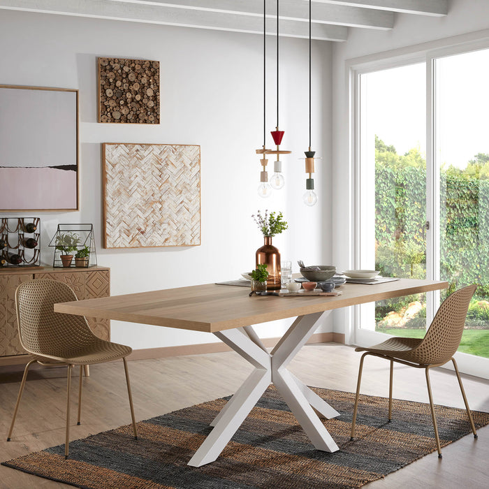 142639-x01.jpg (3032845)