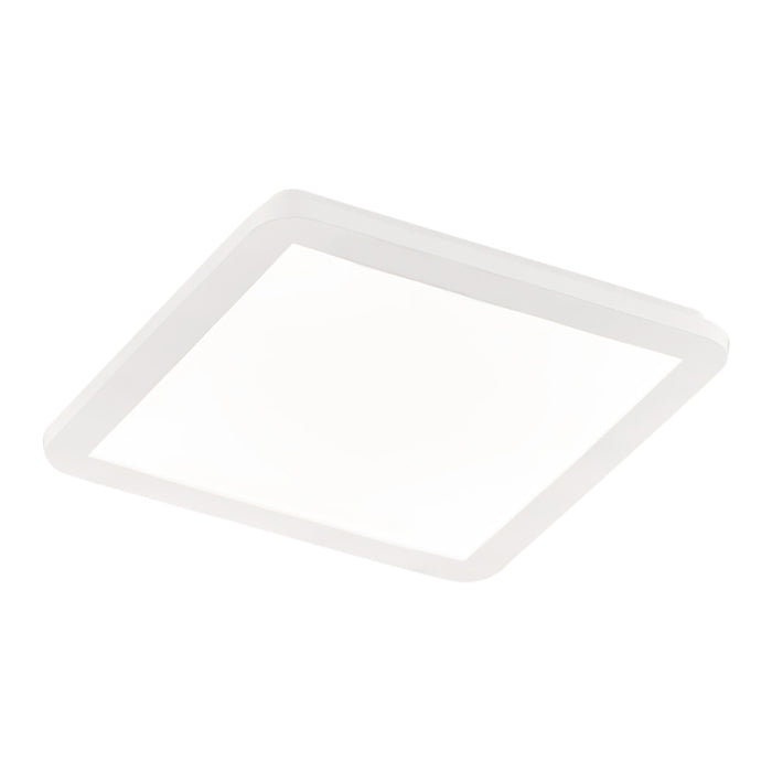 TRIO Reality Camillus Plafondlamp 30 x 30 cm