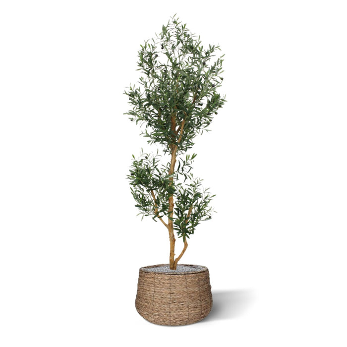 756b1681-e40c-4224-994c-cfe46c578737-afbeelding4.jpg (3061637)