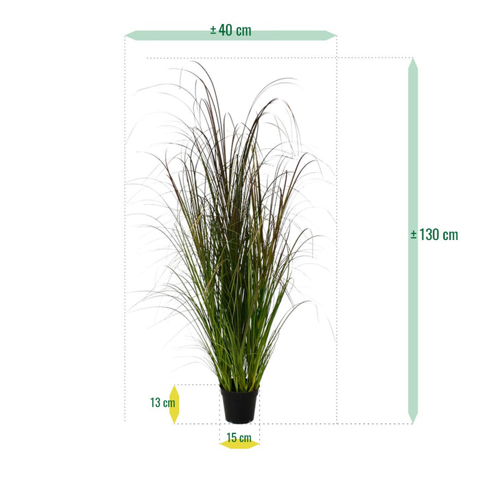 5c1744ee-b94b-42b6-913a-6eb866671947-afbeelding7.jpg (3083500)