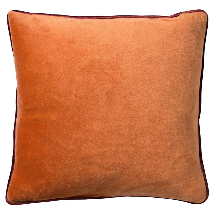 24a376f2-6306-495e-a6dd-2eb6fac69d0e-afbeelding3.jpg (3111163)