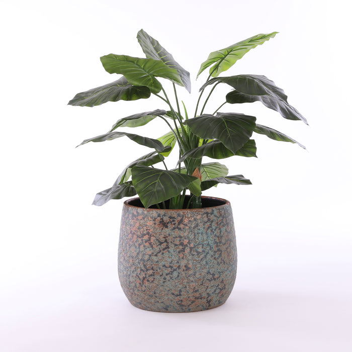 72c90af5-4c93-4eb6-a465-86281412e7a7-afbeelding12.jpg (3116333)