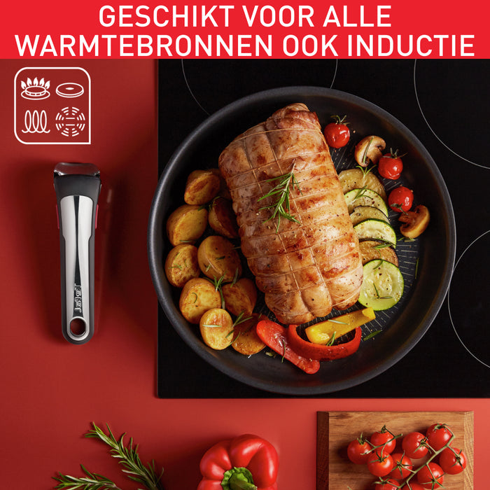 Tefal Ingenio Resource Pannenset - Set van 10