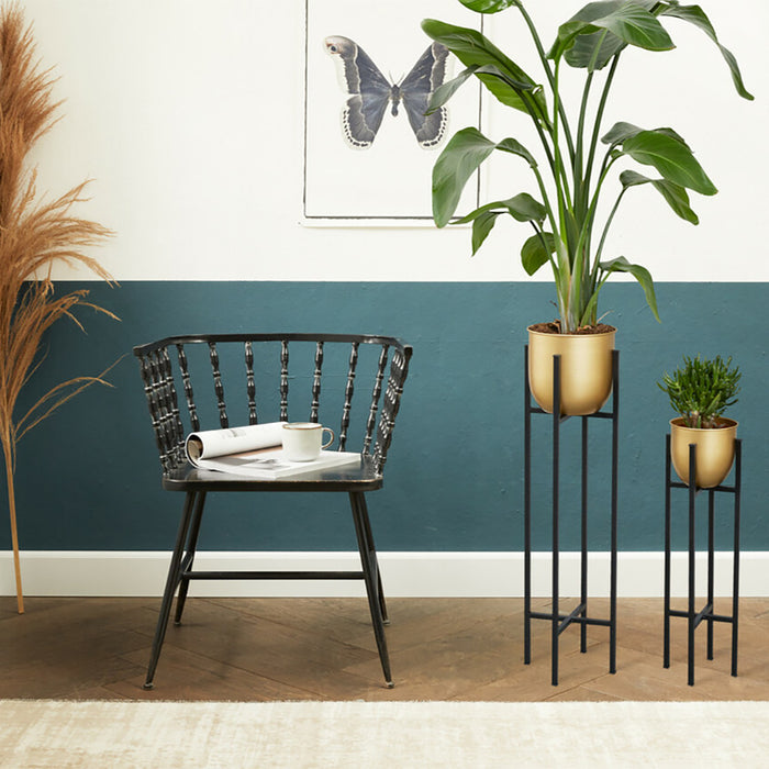 302677-x1.jpg (3140654)