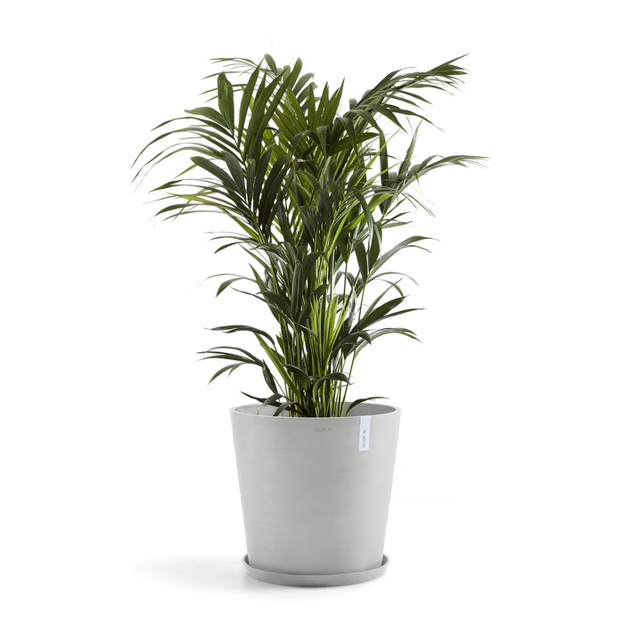 Ecopots Amsterdam 50