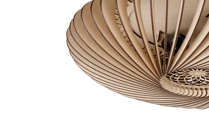 6dd101d7-9784-480e-9adf-09975e185eb3-afbeelding3.jpg (3148442)