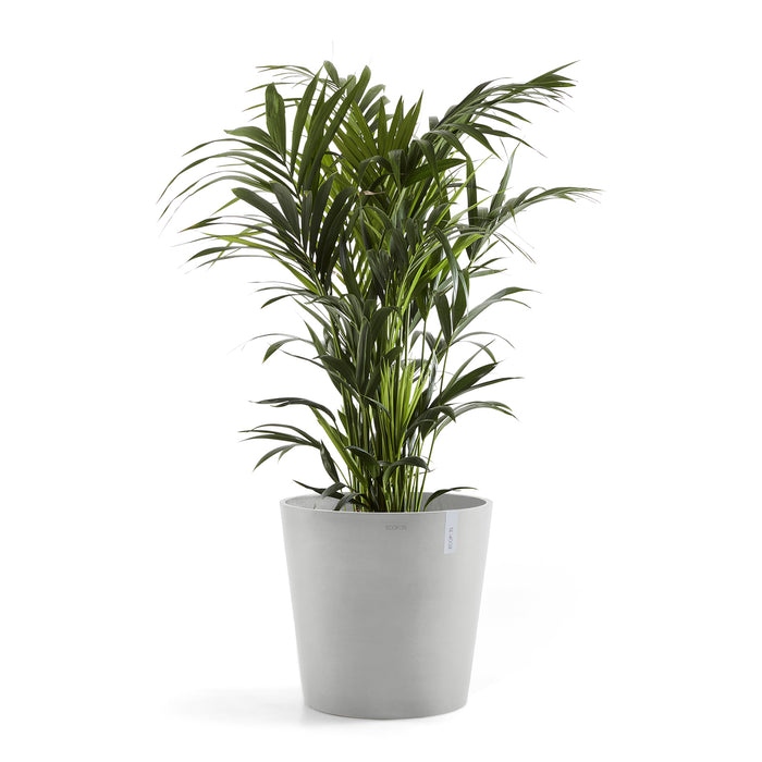 Ecopots Amsterdam 60