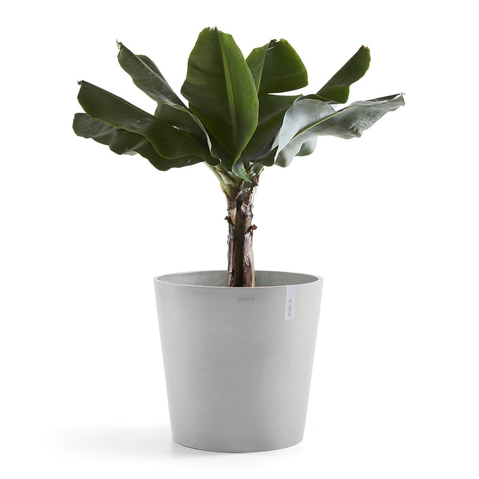 Ecopots Amsterdam 60