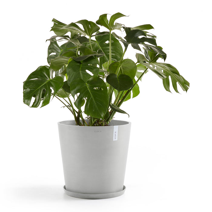 Ecopots Amsterdam 60