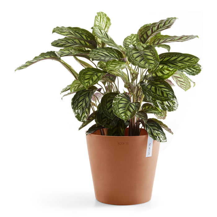 Ecopots Amsterdam 40