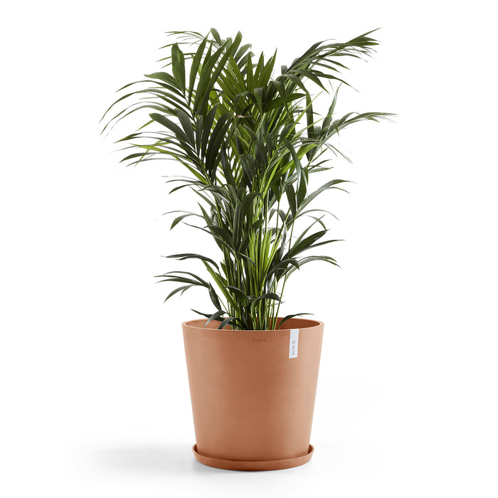 Ecopots Amsterdam 50