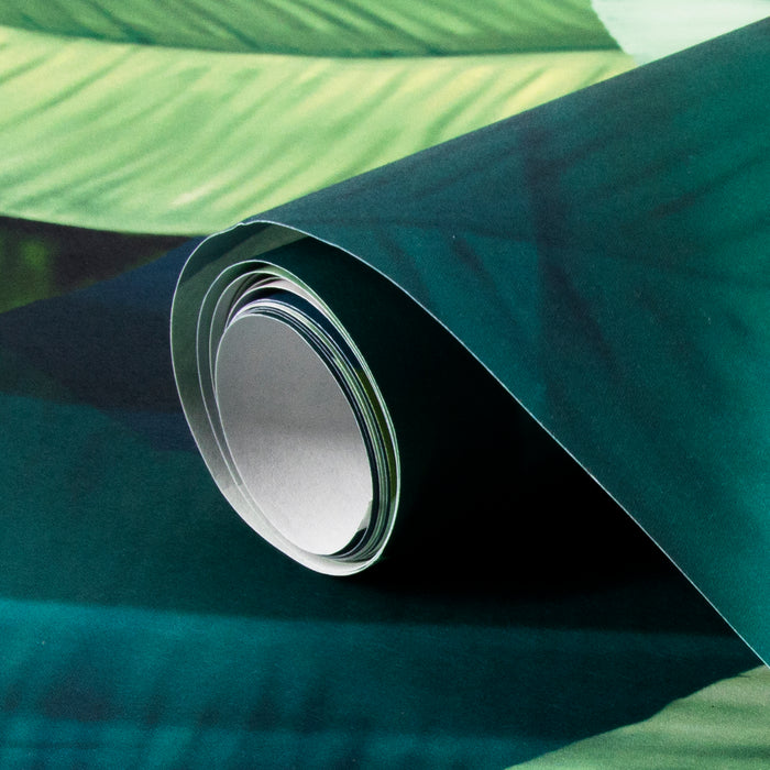 Art for the Home Fotobehang - Leaves Green - Blauw|Groen - 280x200cm