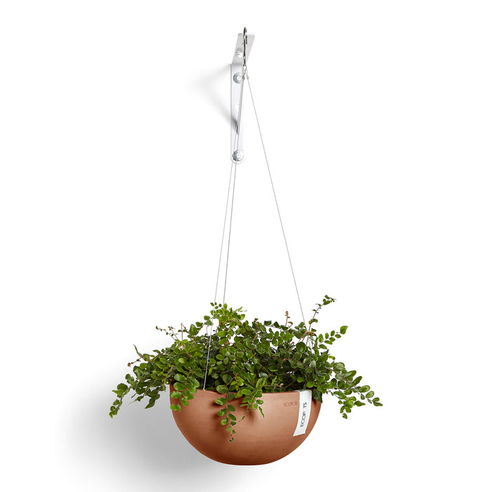 Ecopots Hanging Brussels