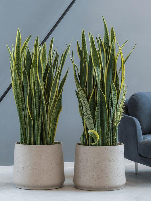 376035b7-fc7e-42b2-9de0-8d39c194bfe8-afbeelding10.jpg (3182496)